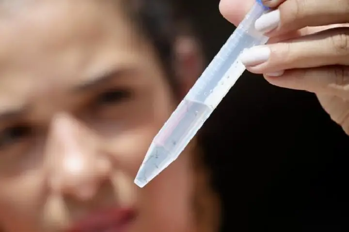 Altas temperaturas favorecem mosquito da dengue; veja como prevenir