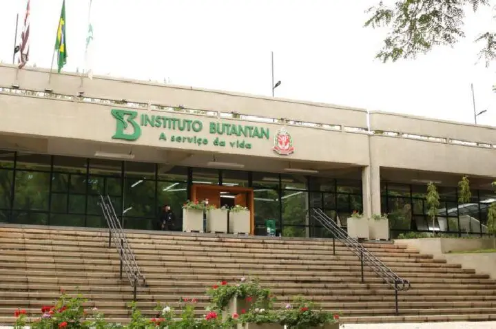 Butantan produzirá remédio contra câncer para o SUS