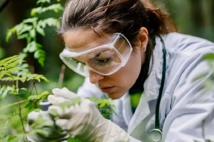 Governo de SP fará concursos públicos com quase 300 vagas para gestão ambiental e hídrica