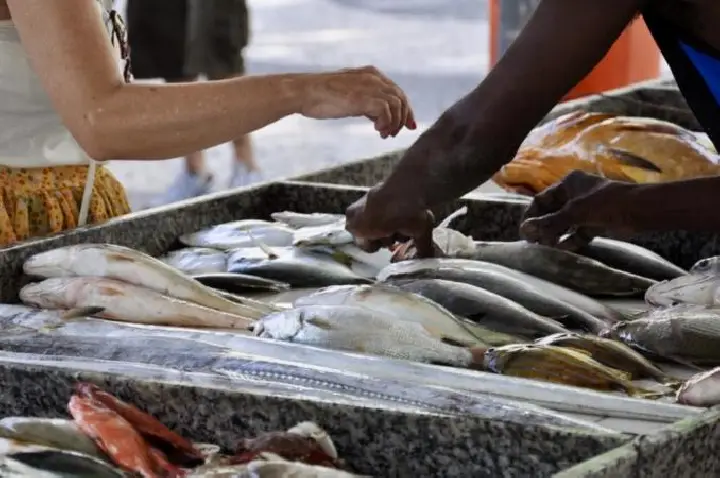 Ipem-SP alerta sobre cuidados na compra de pescados durante a Quaresma