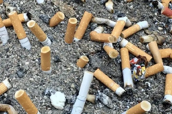 Lixo mais comum do planeta, 4,5 trilhões de bitucas de cigarro são lançadas por ano no mundo