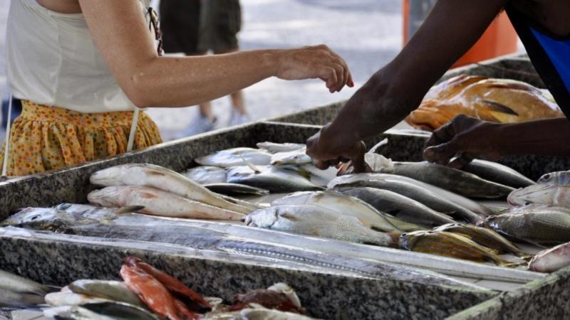 Ipem-SP alerta sobre cuidados na compra de pescados durante a Quaresma
