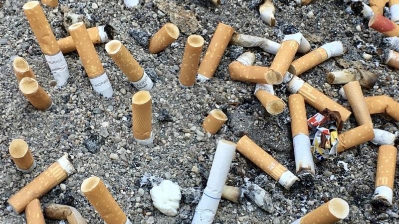 Lixo mais comum do planeta, 4,5 trilhões de bitucas de cigarro são lançadas por ano no mundo